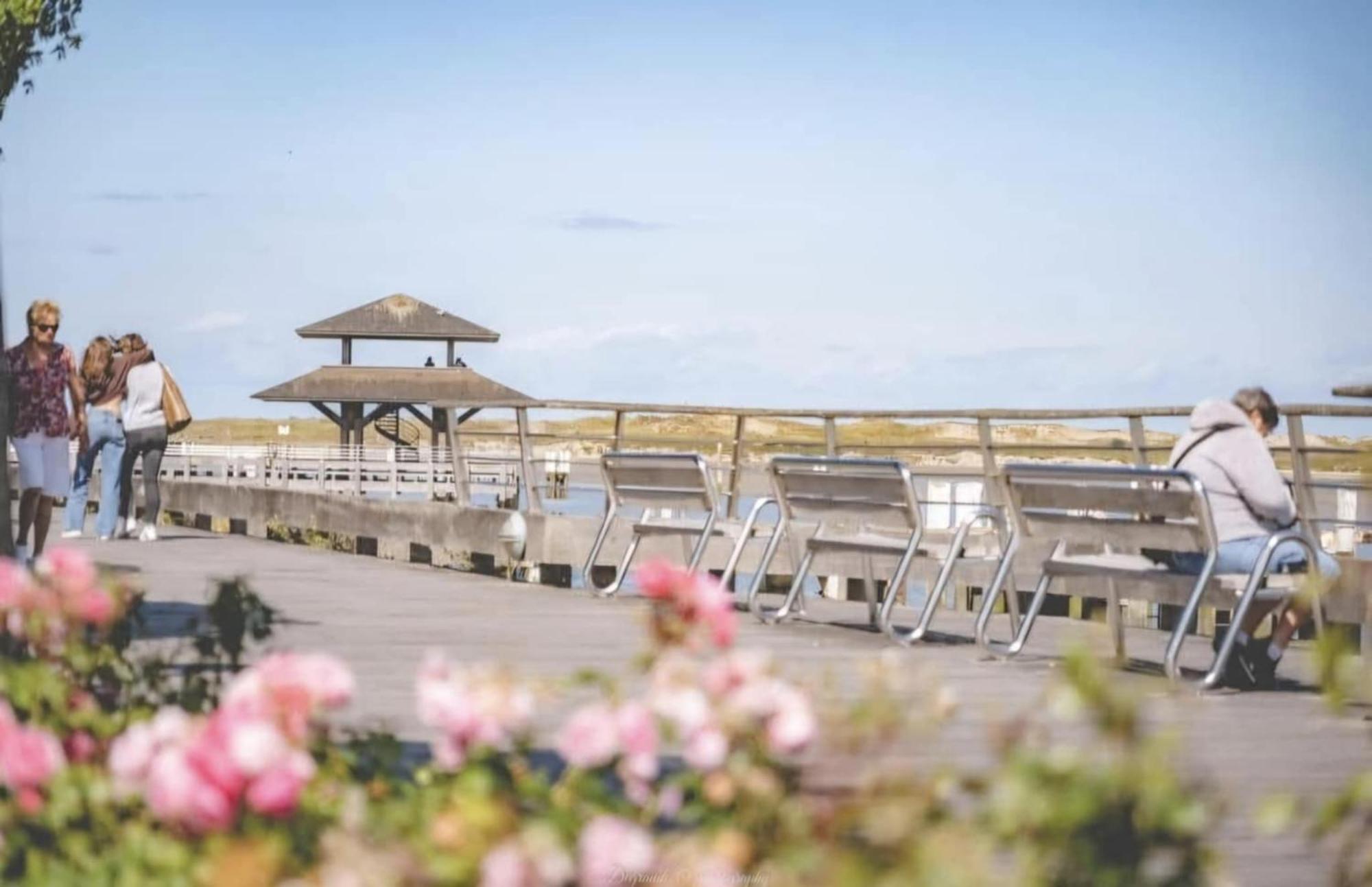 Duplex Villa Capricia Appartement Met Zwembad Nieuwpoort Jachthaven Exterior foto